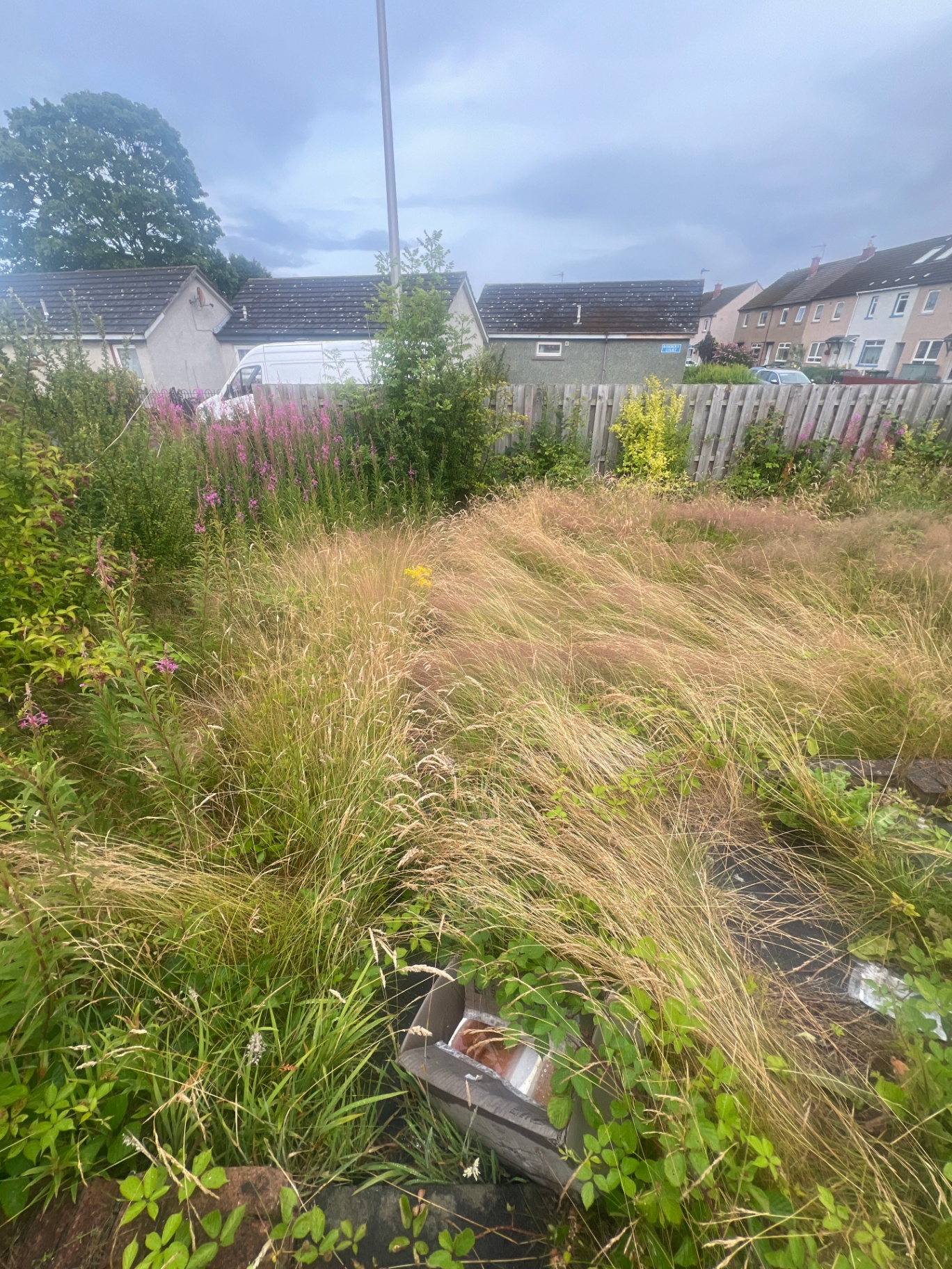 Before image of a garden makeover in Kirkliston, EH30, showing overgrown grass and foliage.