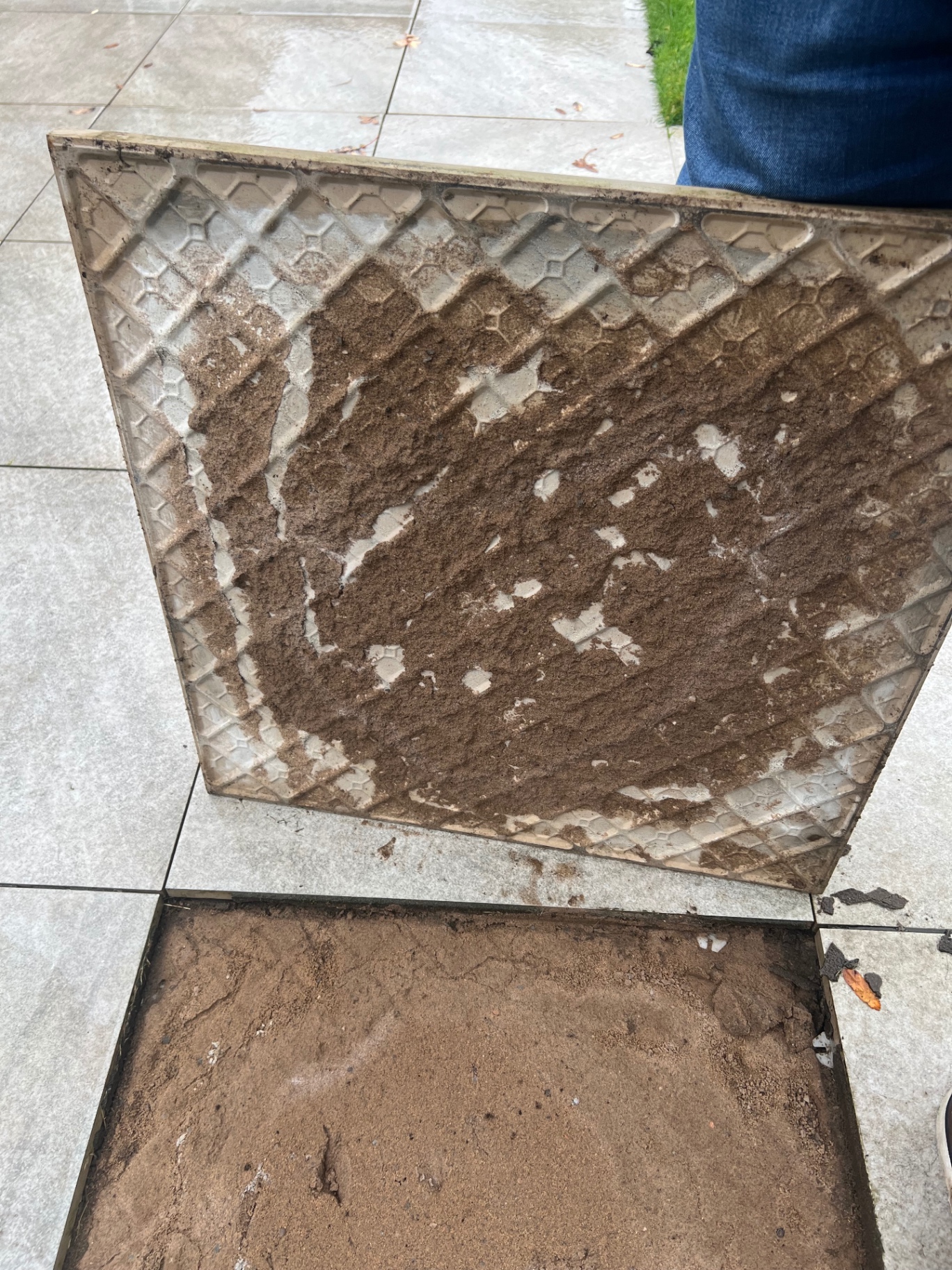 Lifted porcelain tile showing underside with minimal mortar adhesion and poor bedding layer