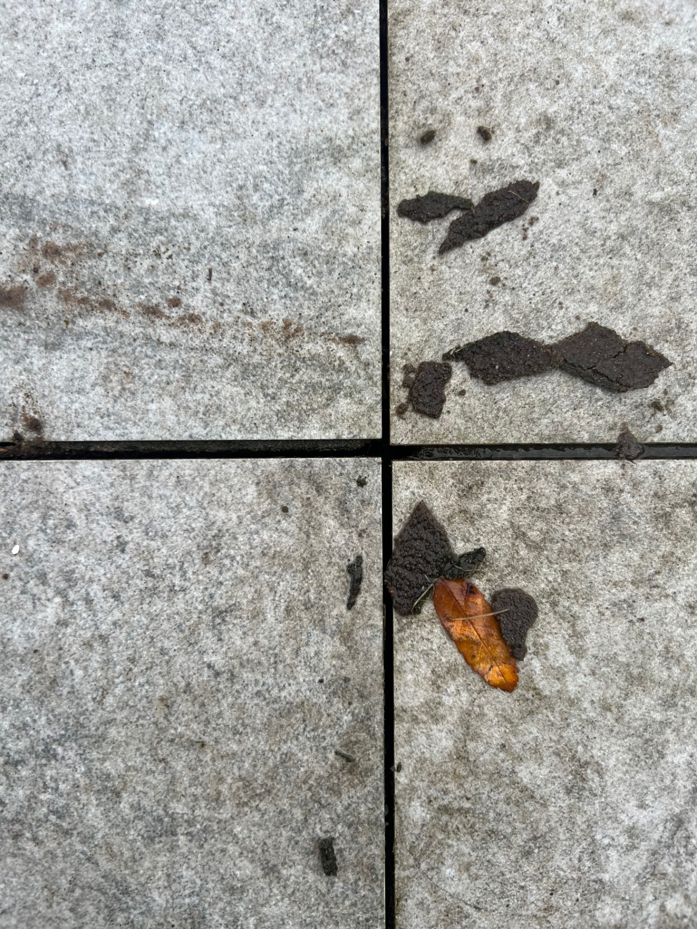 Dark mortar patches visible through porcelain tiles showing inadequate priming and poor bonding