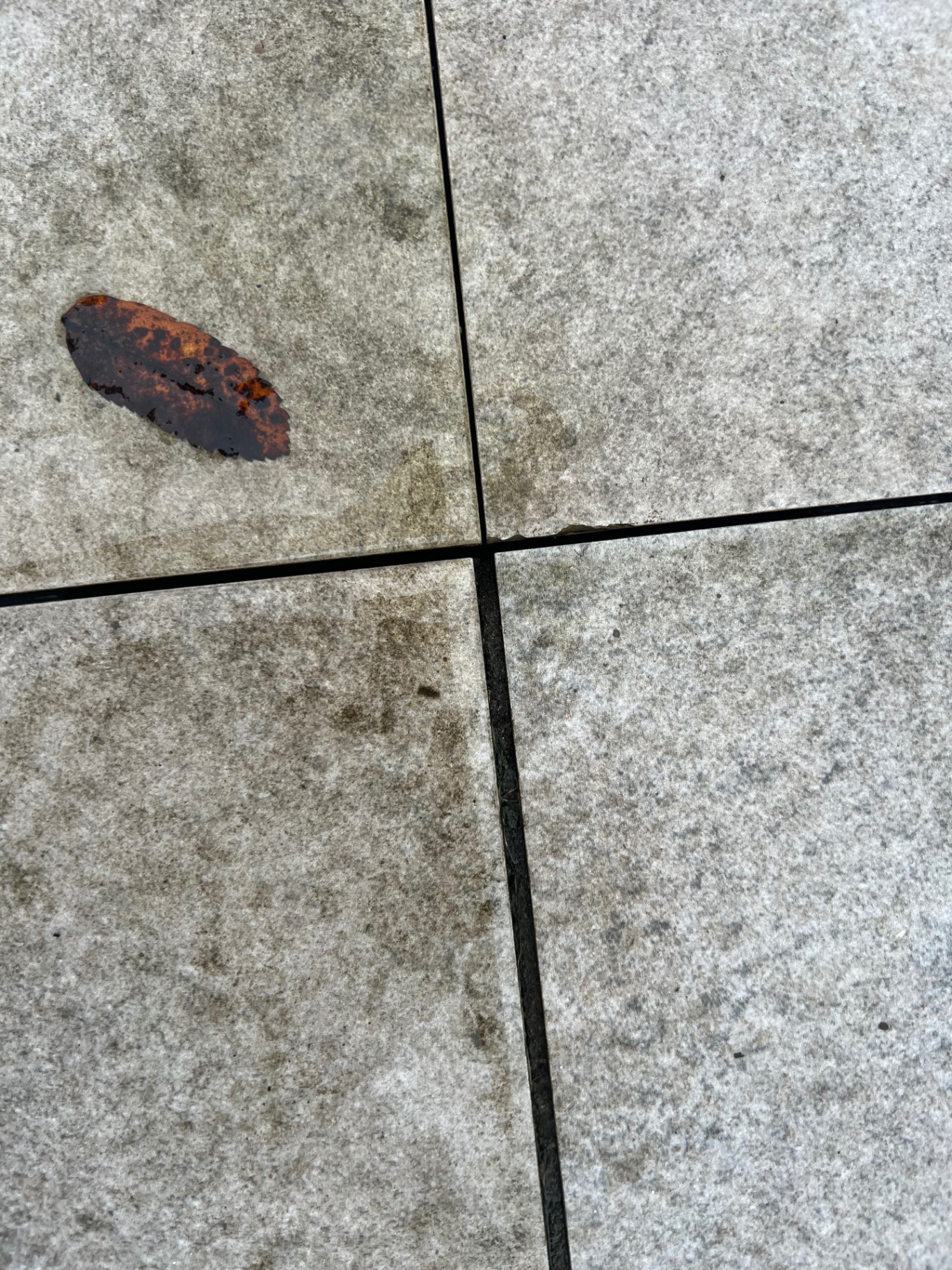 Surface staining on porcelain paving caused by mortar bleeding through due to insufficient primer application